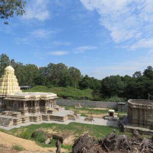 வேழக்காடுகளில் சோழம்