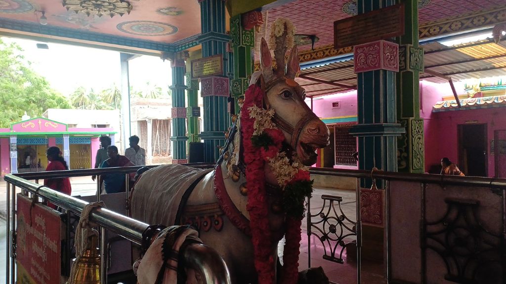 பொருநை (5)