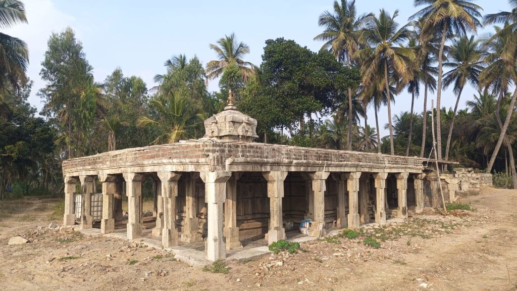 வேழக்காடுகளில் சோழம் (2)